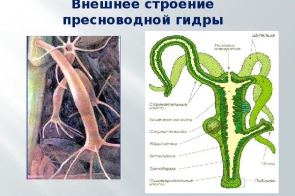 Как зайти в кракен с айфона