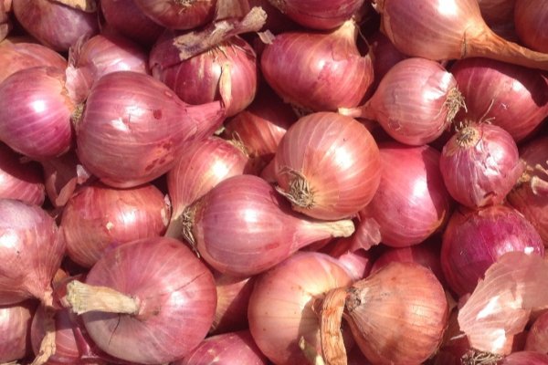 Кракен onion ссылка